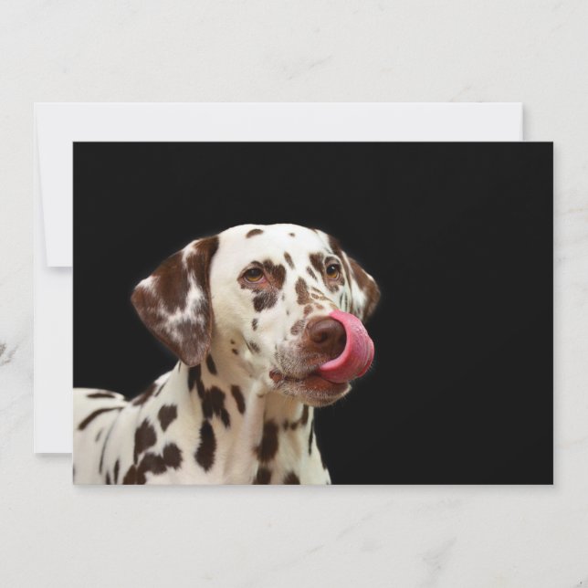 Dalmatiner Thank You Card (Front)