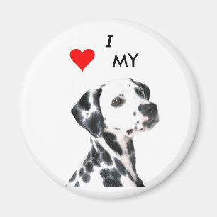 dalmation1, VBRSMCA27ZNVGCAQG0F1BCAMZLQ8CCA0X9H... Magnet