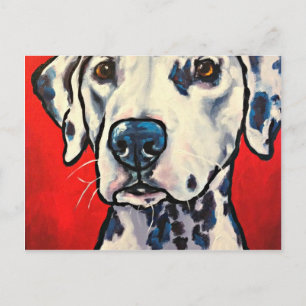dalmation 02 postcard