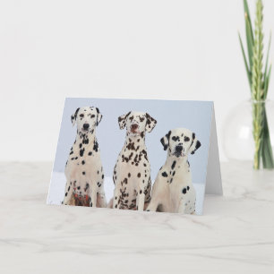 Dalmation Card