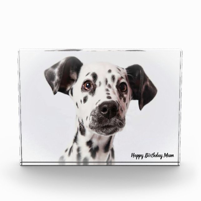 Dalmation Dog. Photo Block (Front)