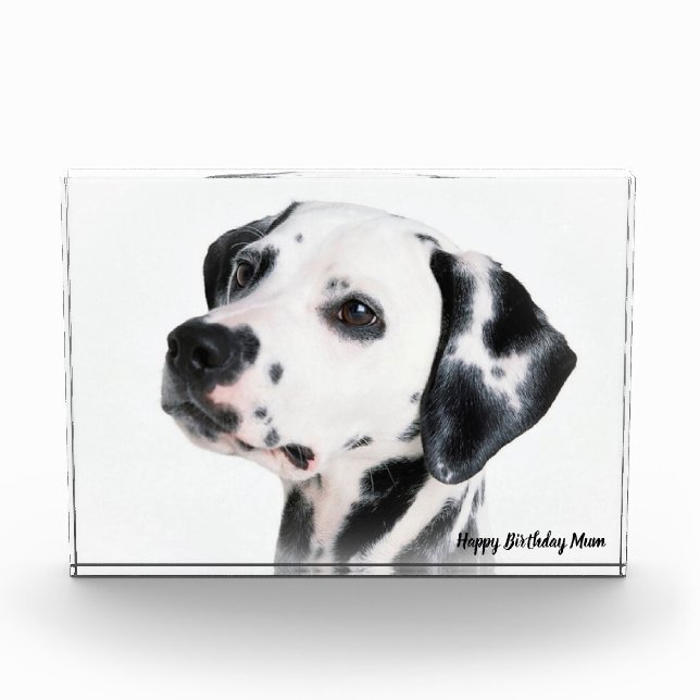 Dalmation Dog. Photo Block (Front)
