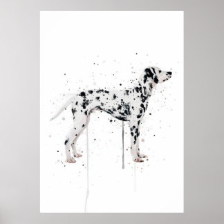  Dalmation Dog Poster