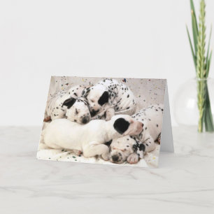 Dalmation_Puppies Card