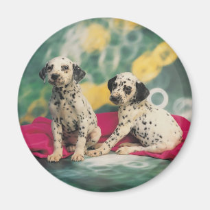 Dalmation Puppies Magnet