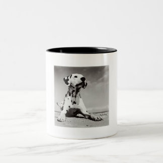 Dalmation Puppy Two-Tone Coffee Mug