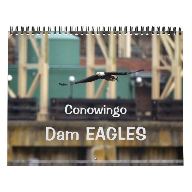Dam Eagles Calendar (Cover)