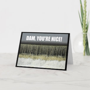Dam, You're Nice! Thank You Card
