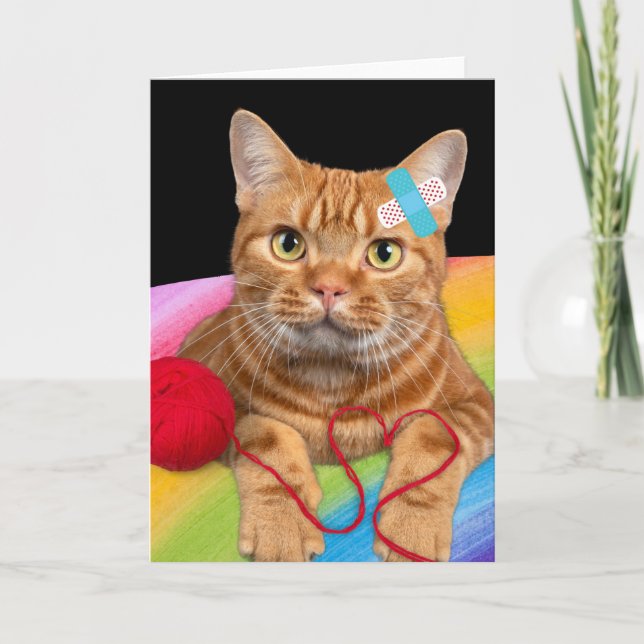 Damaged Cat on rainbow background Card (Front)