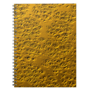 Damaged gold notebook