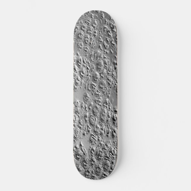Damaged silver metal skateboard (Front)