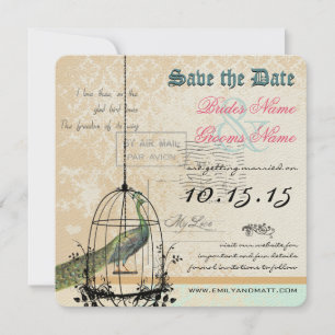 Damask Peacock Bird Cage Wedding Save the Date
