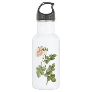 damask rose (Rosa damascena aurora) by Redouté 532 Ml Water Bottle