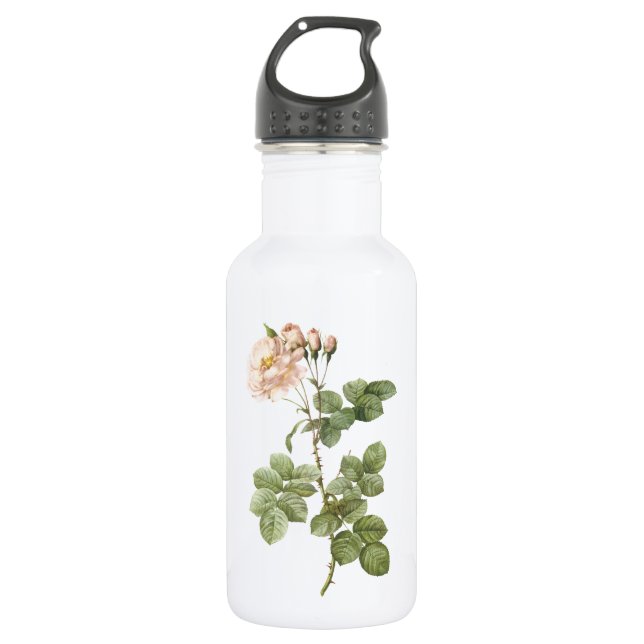 damask rose (Rosa damascena aurora) by Redouté 532 Ml Water Bottle (Front)