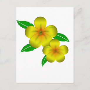 Damiana yellow flowers postcard