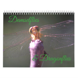 Damselflies and Dragonflies Calendar