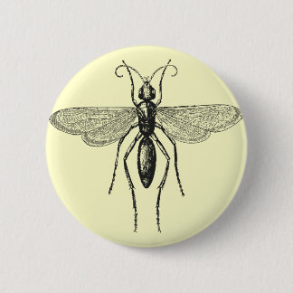 Damselfly 6 Cm Round Badge