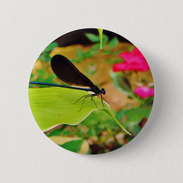 Damselfly and Rose 6 Cm Round Badge (Front)