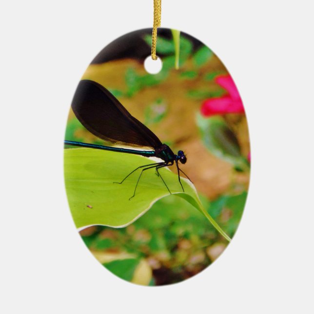 Damselfly and Rose Ceramic Tree Decoration (Front)