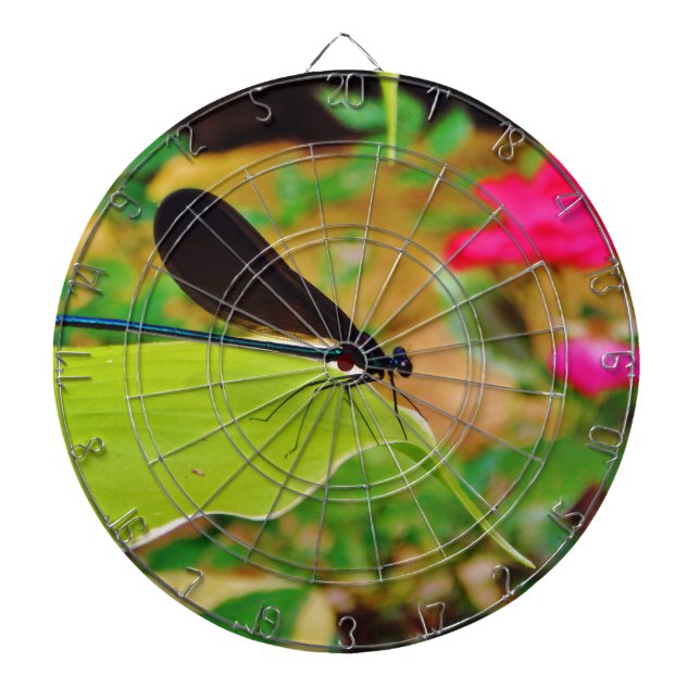 Damselfly and Rose Dartboard (Front)