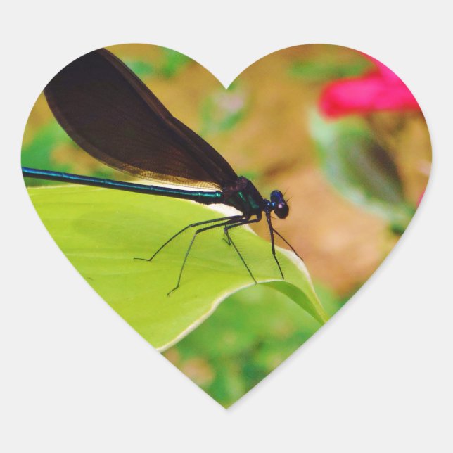 Damselfly and Rose Heart Sticker (Front)