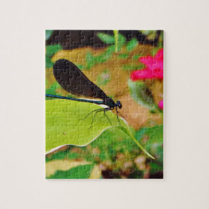 Damselfly and Rose Jigsaw Puzzle