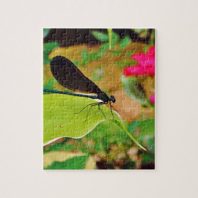Damselfly and Rose Jigsaw Puzzle (Vertical)