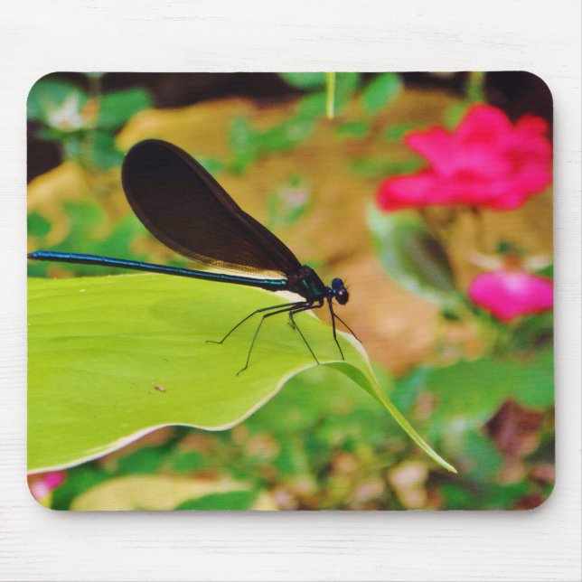 Damselfly and Rose Mouse Pad (Front)