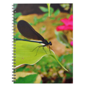Damselfly and Rose Notebook