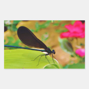 Damselfly and Rose Rectangular Sticker
