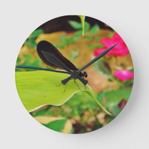 Damselfly and Rose Round Clock