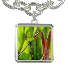 Damselfly Balanced On A Flower Head Bracelet