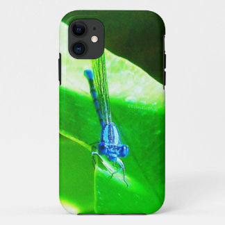 Damselfly iPhone 11 Case