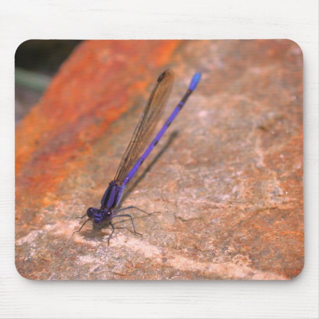 Damselfly Dragonfly Nature  Mouse Pad (Front)