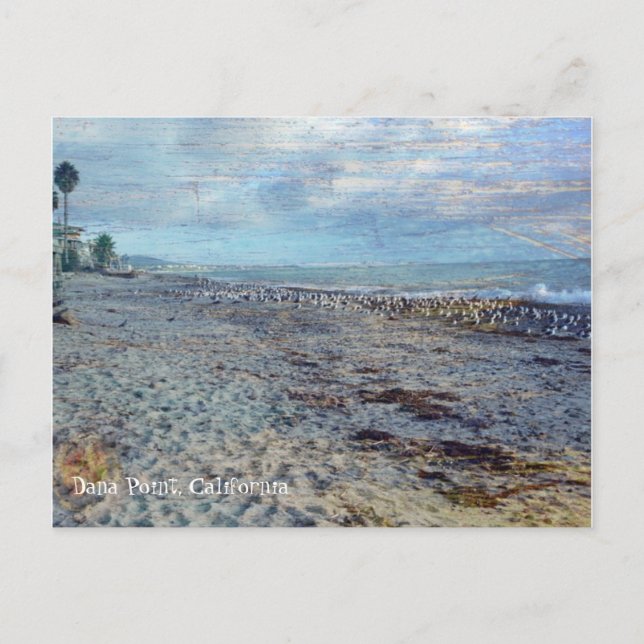 Dana Point, California Postcard (Front)