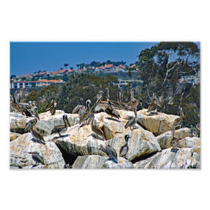 Dana Point Photo Print