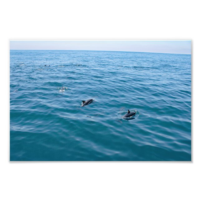 Dana Point Photo Print (Front)