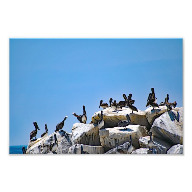 Dana Point Photo Print (Front)