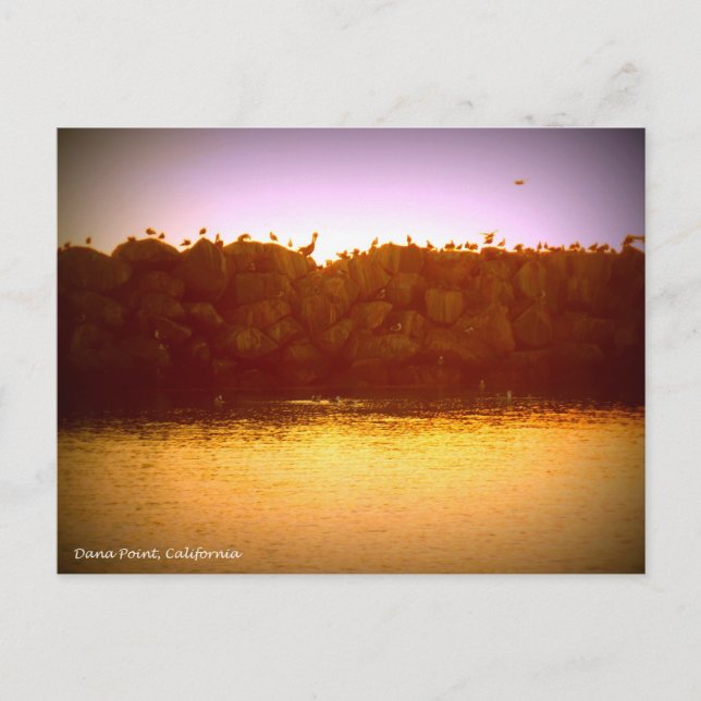 Dana Point Sunset Postcard (Front)
