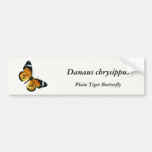 Danaus chrysippus - Plain Tiger, or African Queen Bumper Sticker