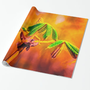 Dance Of Fire Wrapping Paper