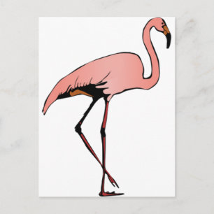 DANCE OF FLAMINGO POSTCARD
