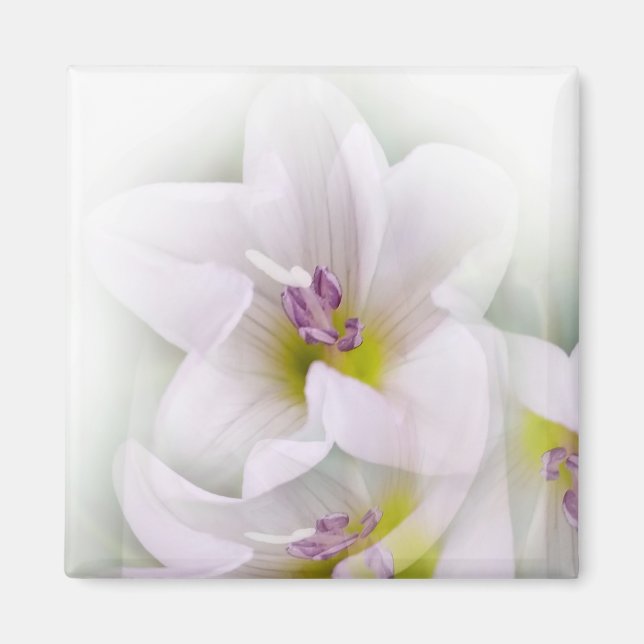 dance of flowers magnet (Front)