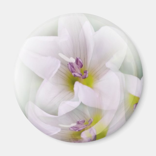 dance of flowers magnet (Front)