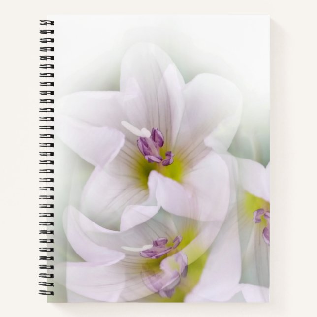 dance of flowers notebook (Front)
