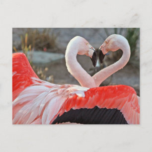 Dance of Love Postcard