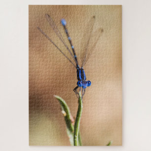 Dance of the Damselfly Jigsaw Puzzle