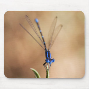 Dance of the Damselfly Mouse Pad