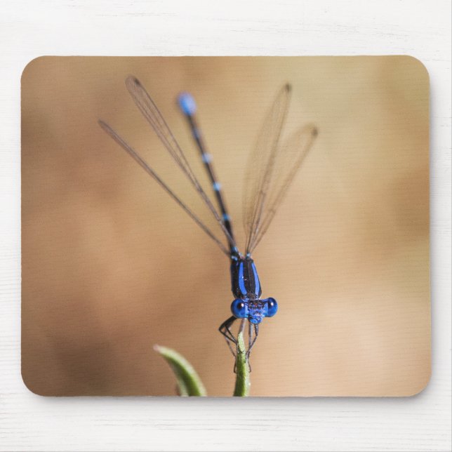 Dance of the Damselfly Mouse Pad (Front)