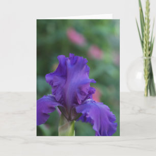 Dance of the Purple Iris Greeting Card
